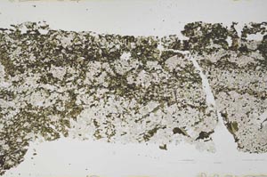 Plane Polarized, S51048/A