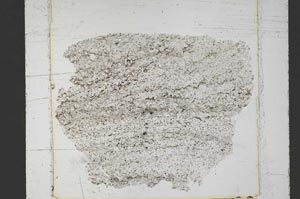 Plane Polarized, S51054
