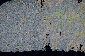 Cross Polarized, S51056