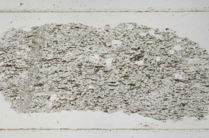 Plane Polarized, S51058
