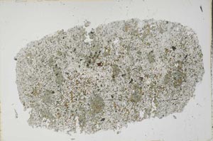 Plane Polarized, S51060
