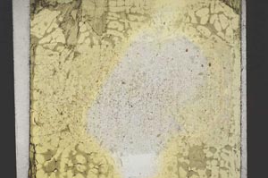 Plane Polarized, S51075