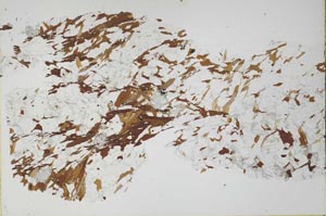 Plane Polarized, S51088