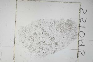 Plane Polarized, S51095