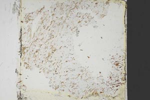 Plane Polarized, S51101