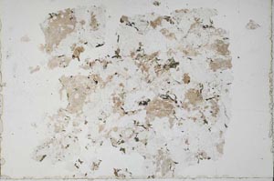 Plane Polarized, S51104/A