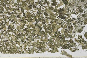 Plane Polarized, S51110
