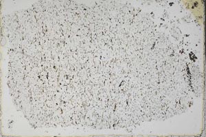 Plane Polarized, S51118