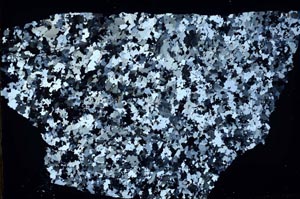 Cross Polarized, S51197