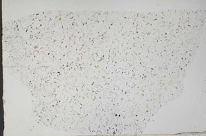 Plane Polarized, S51197