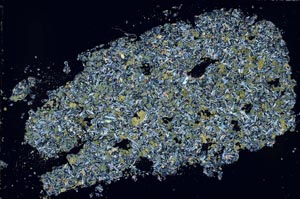 Cross Polarized, S51203