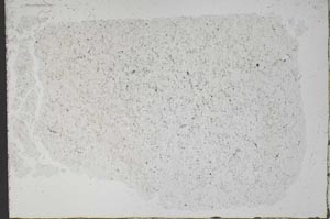 Plane Polarized, S51270