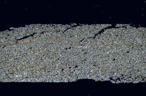 Cross Polarized, S51271