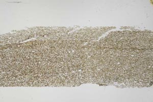 Plane Polarized, S51271