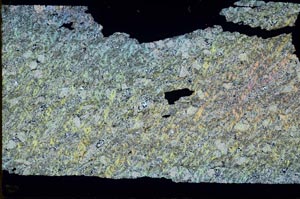 Cross Polarized, S51272