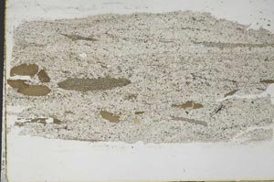 Plane Polarized, S51274