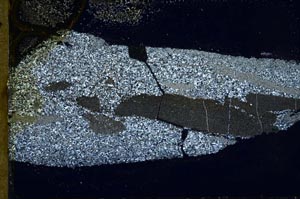 Cross Polarized, S51274/A