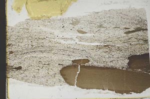 Plane Polarized, S51275