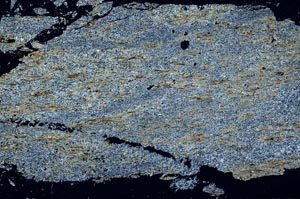 Cross Polarized, S51285
