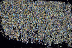Cross Polarized, S51317