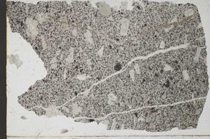 Plane Polarized, S51325