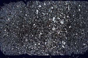 Cross Polarized, S51329