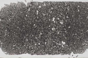 Plane Polarized, S51329