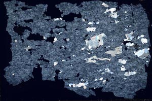 Cross Polarized, S51330