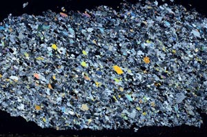 Cross Polarized, S51332