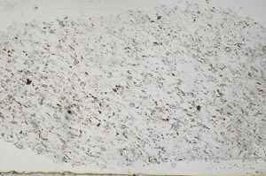 Plane Polarized, S51332