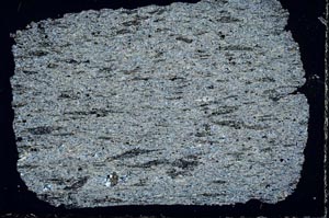 Cross Polarized, S51333