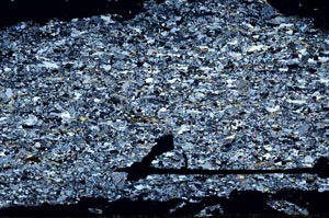 Cross Polarized, S51334