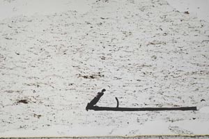 Plane Polarized, S51334