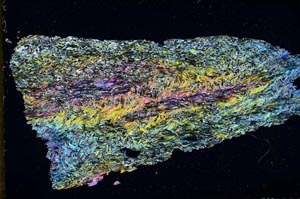 Cross Polarized, S51335