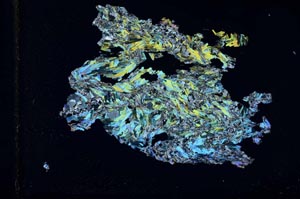 Cross Polarized, S51336