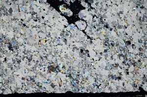 Cross Polarized, S51337