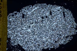 Cross Polarized, S51339