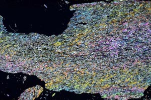 Cross Polarized, S51340