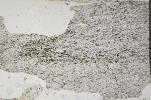 Plane Polarized, S51340