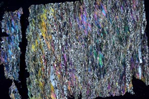 Cross Polarized, S51341