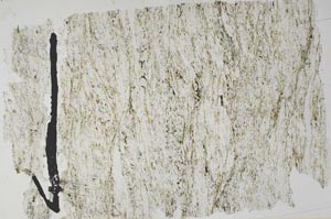 Plane Polarized, S51341