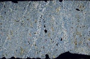 Cross Polarized, S51342