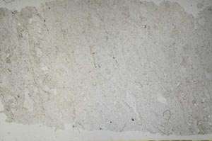 Plane Polarized, S51343