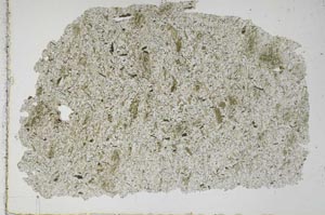 Plane Polarized, S51344