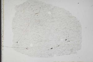 Plane Polarized, S51345