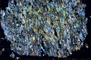 Cross Polarized, S51346