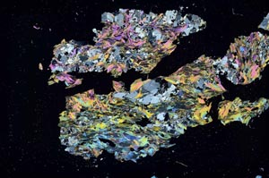 Cross Polarized, S51346/A