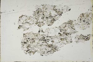 Plane Polarized, S51346/A