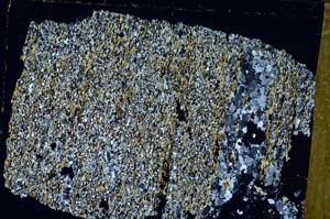 Cross Polarized, S51347