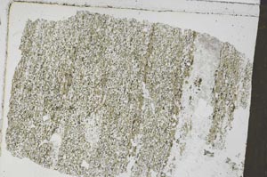 Plane Polarized, S51347